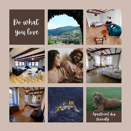 Gite Chez Lulu Proche Du Chateau De Schirmeck Lejlighed Eksteriør billede